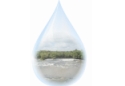 Comitê Canoinhas e Afluentes do Rio Negro promove capacitação sobre Cadastro de Usuários e Outorga do Uso da Água